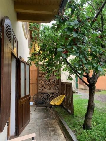 Charmant Appartement Sur Cour, Le Cerisier バニエール・ド・ビゴール エクステリア 写真