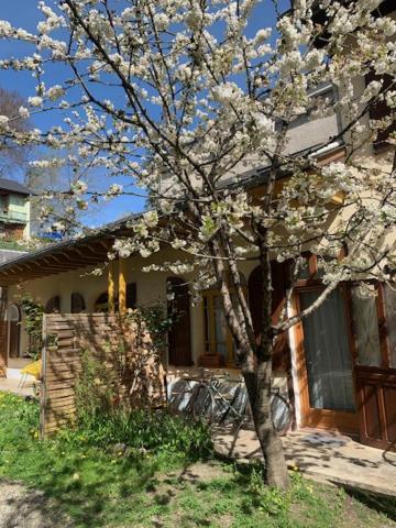 Charmant Appartement Sur Cour, Le Cerisier バニエール・ド・ビゴール エクステリア 写真